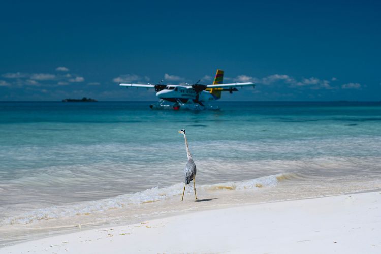 The Complete Guide to Maldives Transportation Options